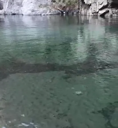 Da Nonna Pina * Cossogno